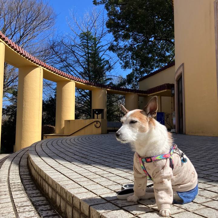 98308a1c d1ec 4ce5 953e f5cfafb9acdd 1710030135060