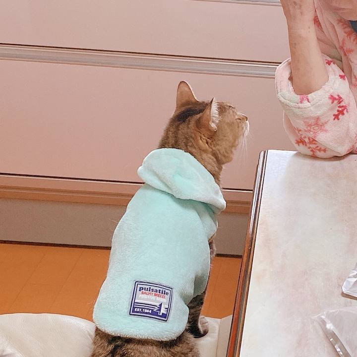 9830ced9 bd4d 41e3 a00c fb4159e237b3 1642237798200