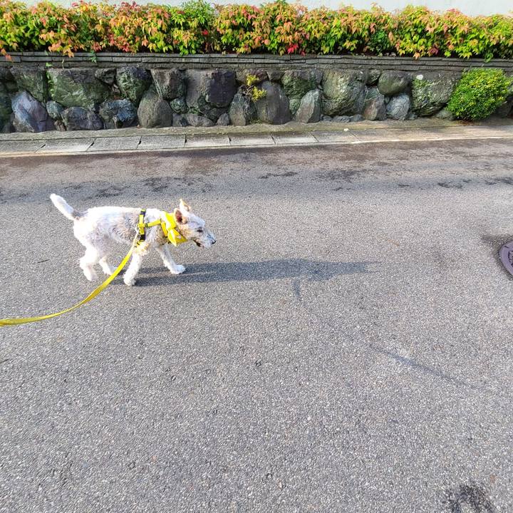 9830ed4f 8eb5 40ac b20d 2e20dbd1f891 1655939511341