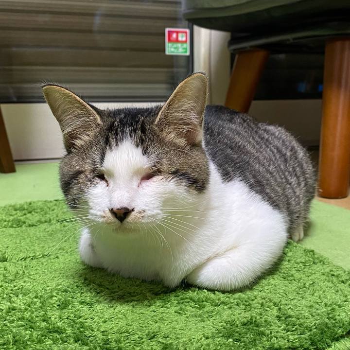 98311a1d eff4 4a4e 9fc2 5b91546dfee2 1670218199266