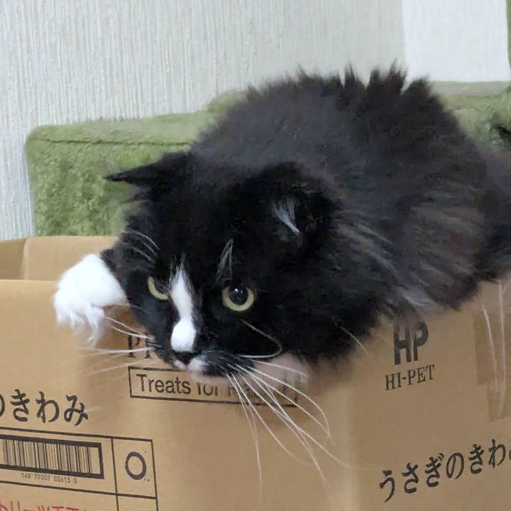 98311cfb 76ba 4a73 adb7 3b83a8c55546 1745154969985