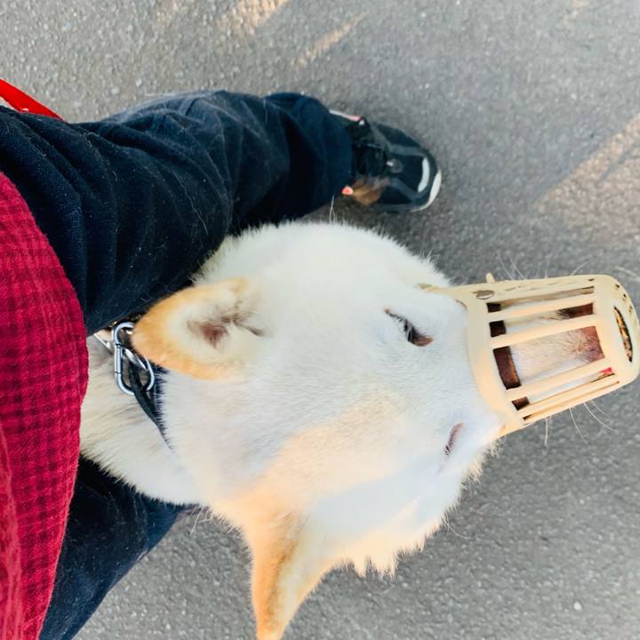 98316301 67dc 46fd b20b 988c46282fb2 1623534810983