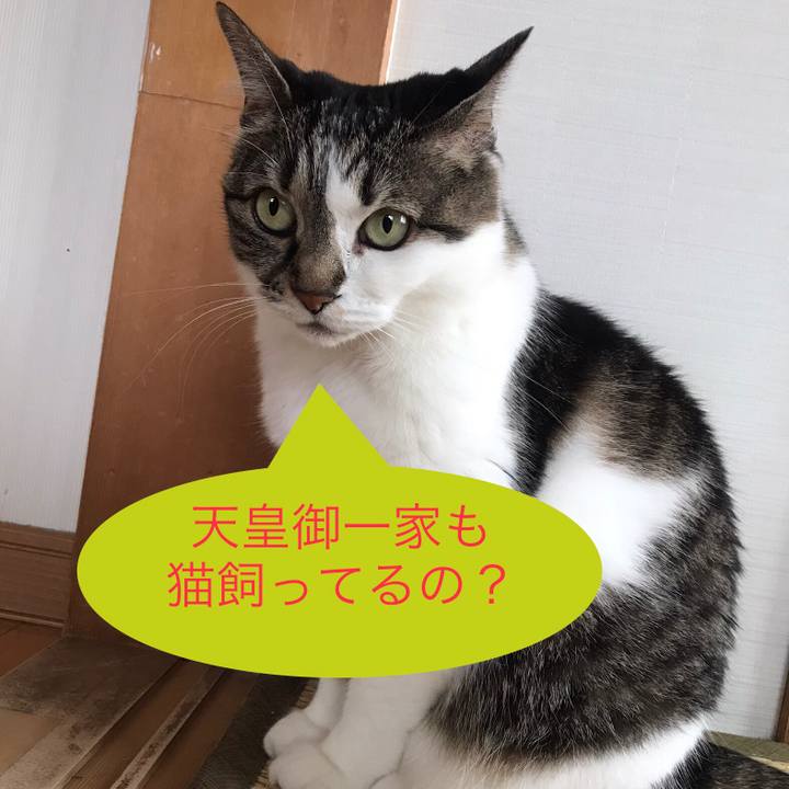 9831646a 8a8a 49eb 9eb5 544076d3d3ed 1717836710638