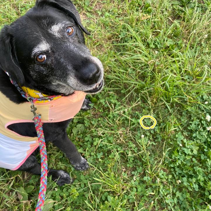 983186b8 0d7e 415c 8f7a 194af7df4844 1688046278949