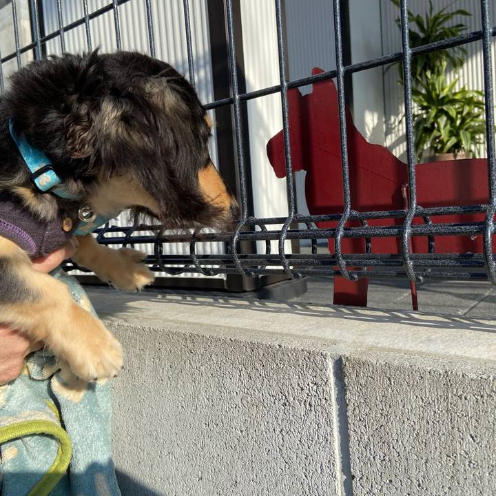 9831a77a f562 40b8 9191 ae5e56fbb819 1677134901331