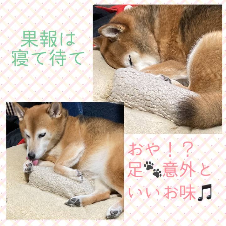 9831ac58 e757 4c69 813f 78a0088adc6b 1697955300143