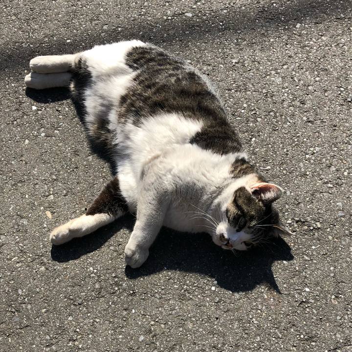 9831c802 6c27 4845 8b35 41366774ad67 1518521107387