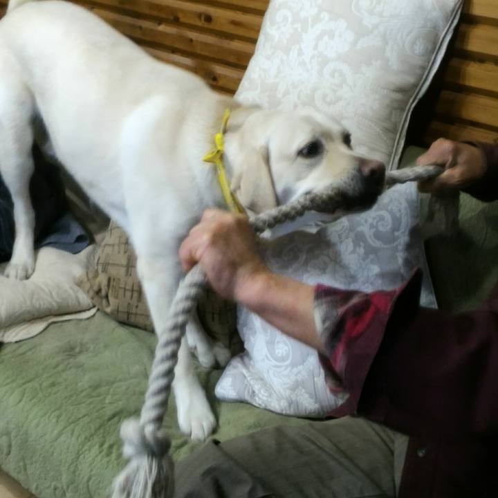 983246a5 0590 43f4 93b6 25341d858d02 1516970180149