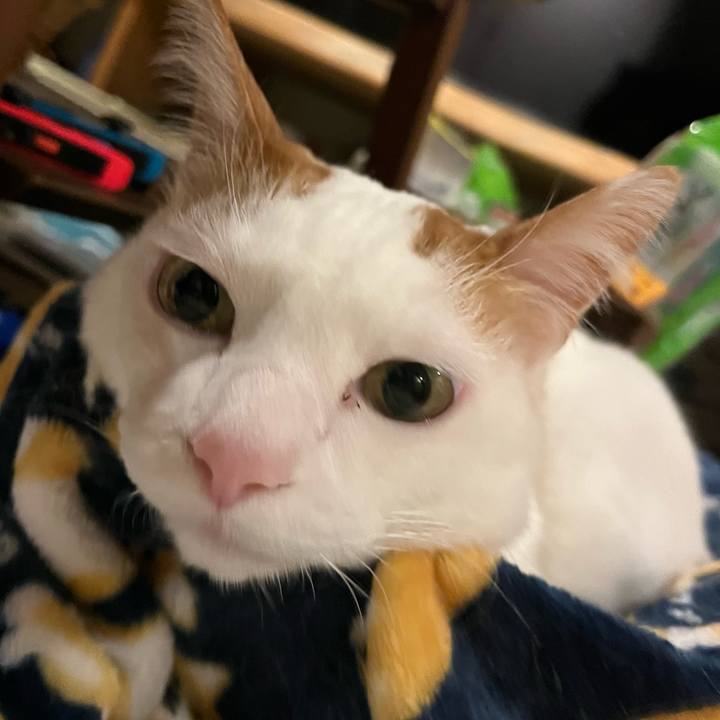 9832519c 8309 45bc be30 2fc728a45264 1773323566786