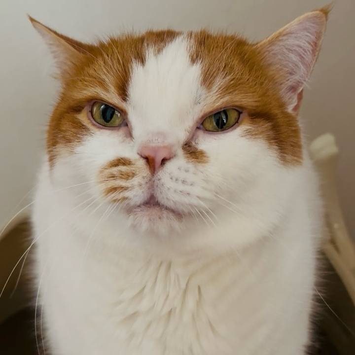 9832534f 494c 485b 9a08 ea485e2192ae 1777115543462