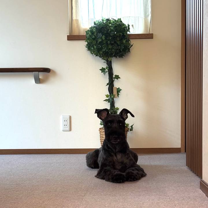 9832903a 0981 4ea2 9a54 a6863a4a9f3a 1762655040647