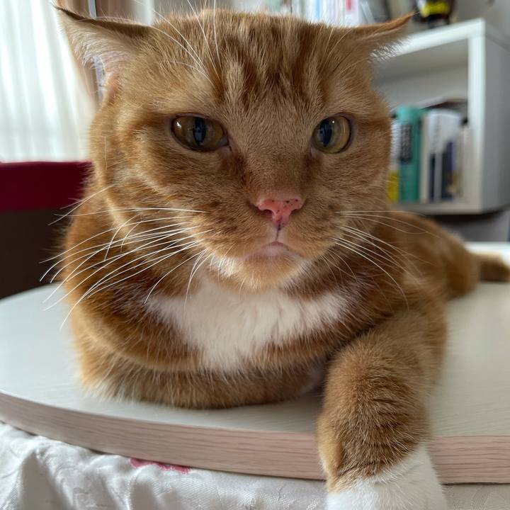 9832909b 19e6 4b29 9b8b 73a9df147d9b 1627181474211