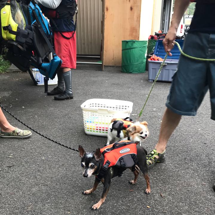 983311ab 9acd 4071 bb31 342675abadfe 1565509789281