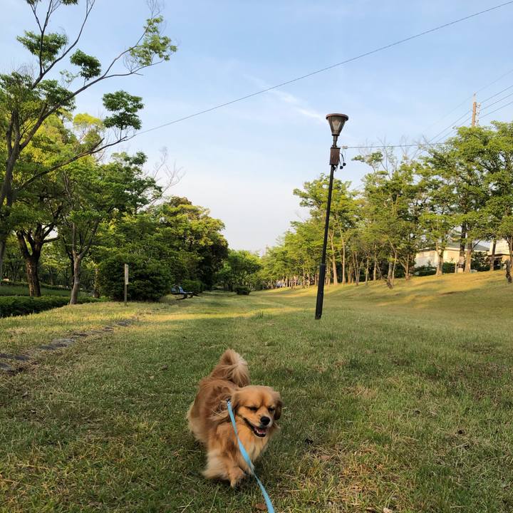 98334b46 09fe 4208 b275 c75c671c1e14 1558907392442