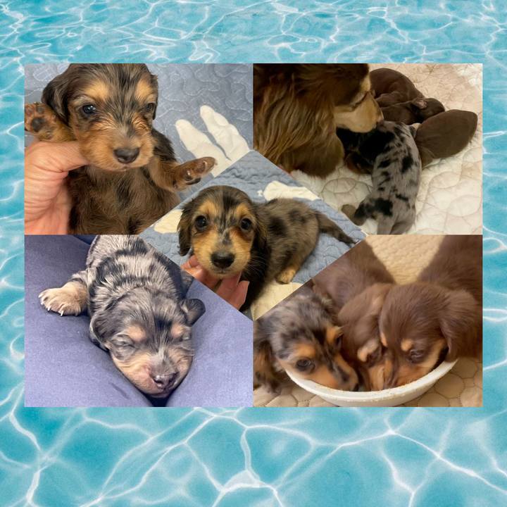 9833593d 0631 4b75 98fa 8da6b9ee2f71 1699677256731