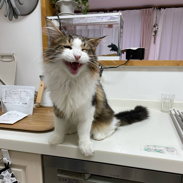 98337f92 f5ba 4ae8 990e 9332367b8b0c 1638177701159