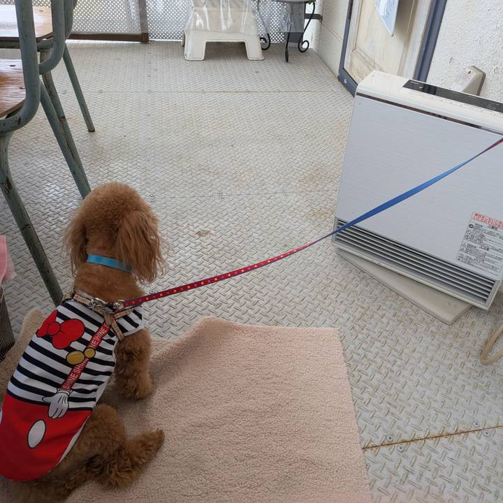 98339cb0 22d6 4dda be1c a748543512bb 1773975735918