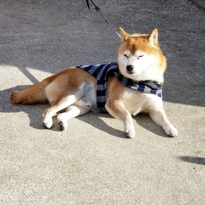 9833ab80 1ce5 4db5 b1cf 94208c49899d 1580189471390