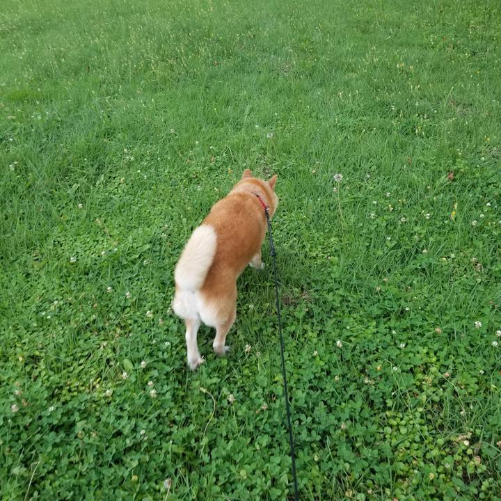 9833c555 7855 4770 aa9c fb08947009b3 1722070051003