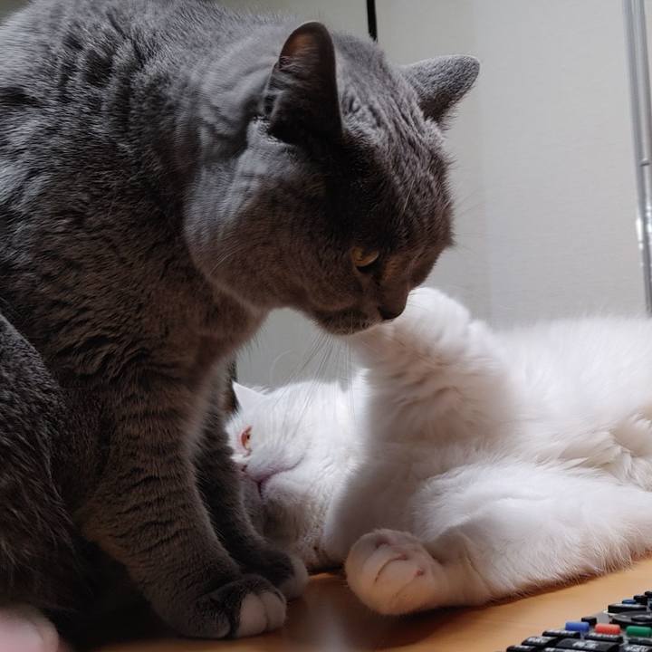 98344363 dc7d 4603 b17a 894056a3e53b 1650359746591