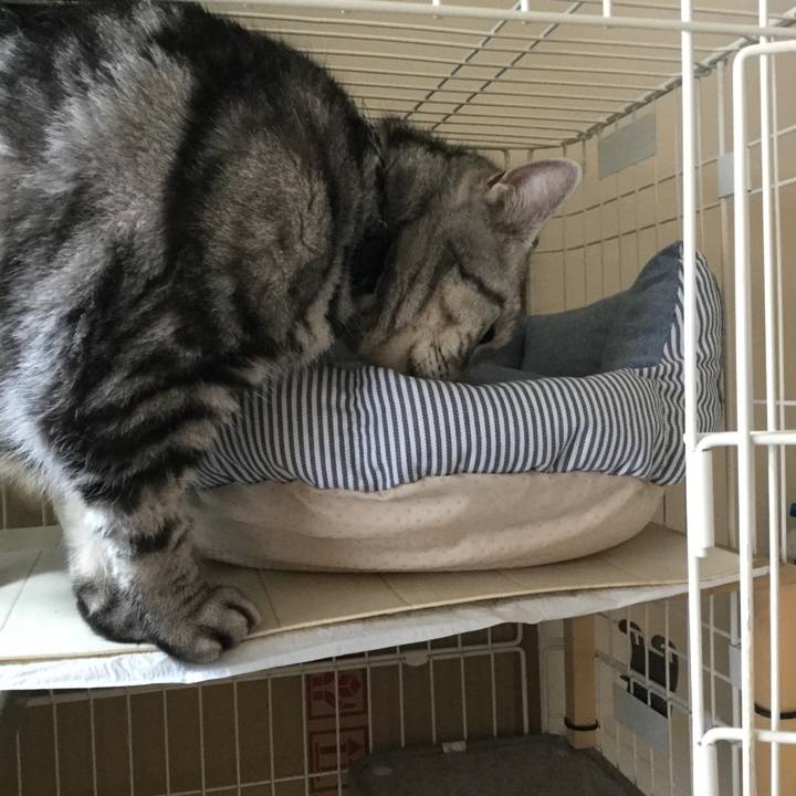 98346096 bd1c 4db8 a964 c26f5560645b 1525850813610