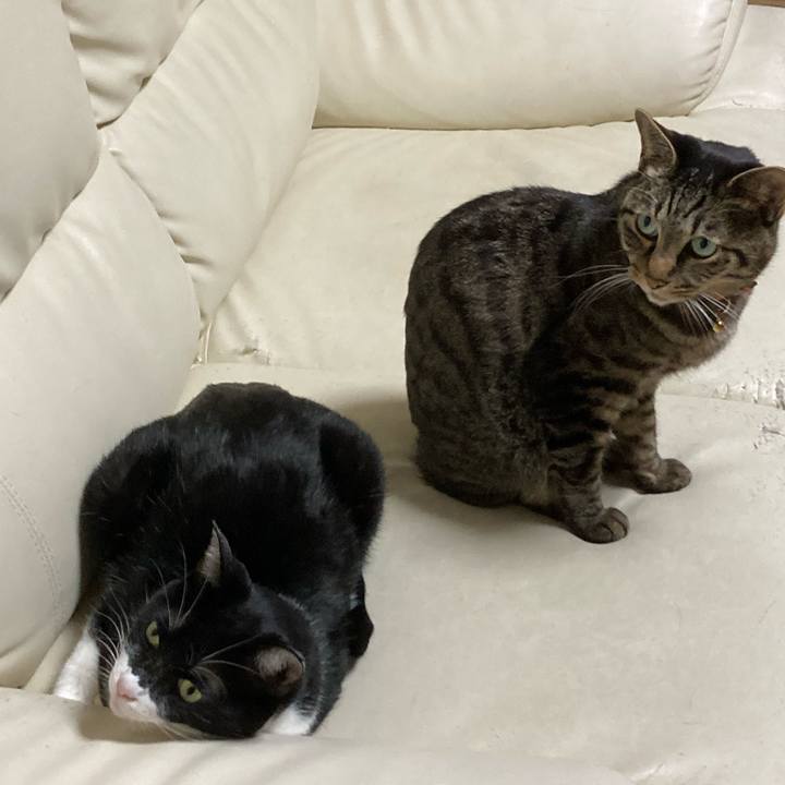 98346ef7 4289 43e7 b63c 0a6408bf69f6 1711113138257