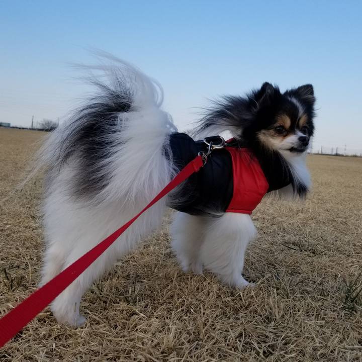 9834879f c19f 4e91 8425 2e9783efe45a 1550394358488