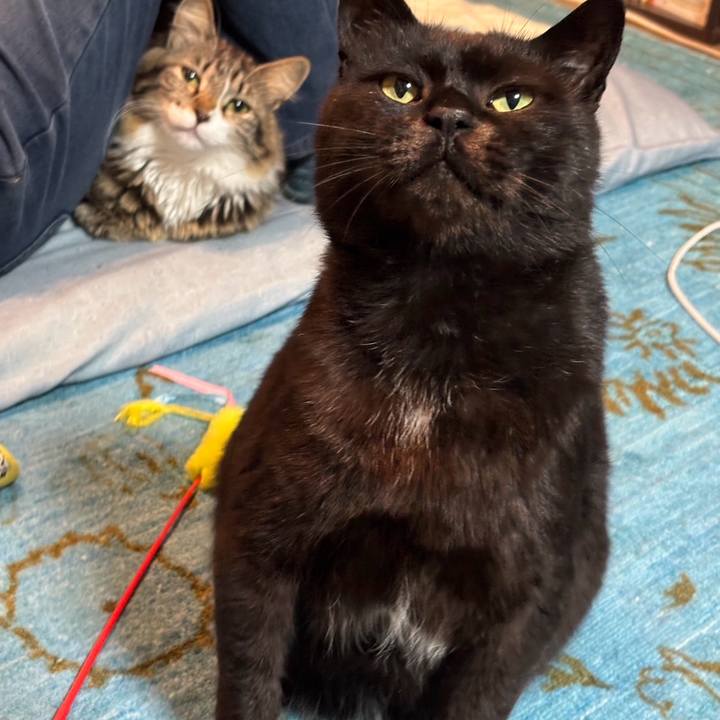 98350a48 96d5 47e6 af7f 01609b910ed5 1746319534097