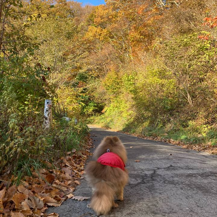 98352441 c7b9 4f6c b81c 1a86e4d52c5d 1730375431707