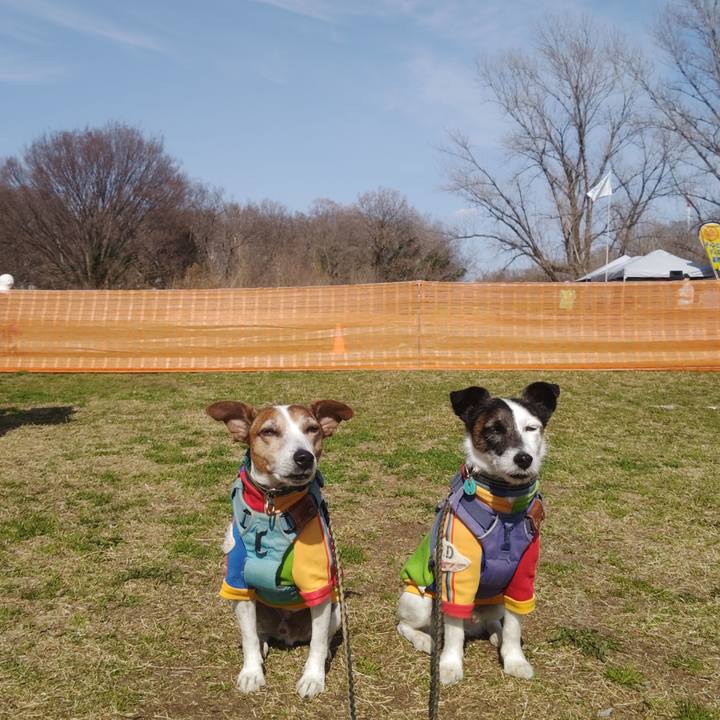 98353c19 45d0 414c bf8d eb0047cf2016 1773573581295