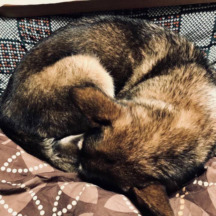 98354a9a 8022 4c8b 808d ccbb918e304d 1511524588986