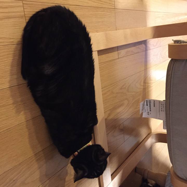 9835b195 9885 4890 baa5 661acd4c1292 1545453656819