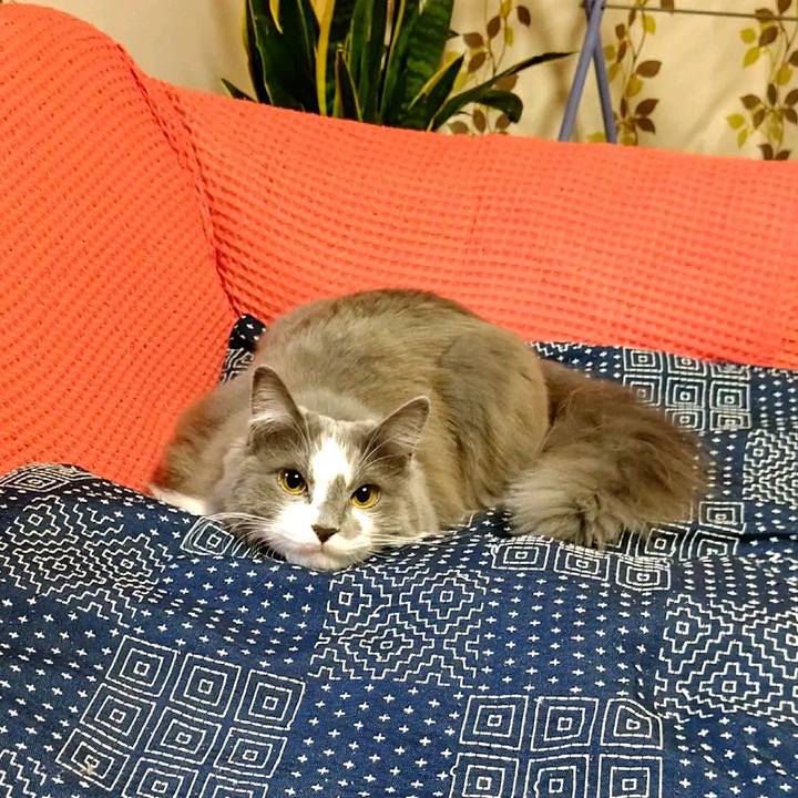 9835ec88 f873 4196 b3ba ee12cb69fb20 1586341682119