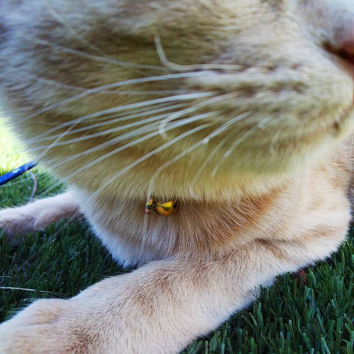 98360e72 2cf6 4d03 8406 a6296584b357 1556412341221