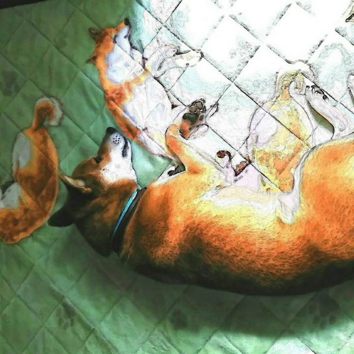 9836ab9d 6bd2 4bc0 a304 a3c0066de3b1 1540348041221