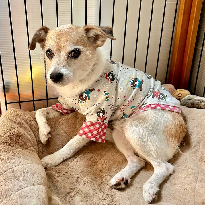 9836be44 cb41 49df a4eb b750cfb81dcb 1706072441238