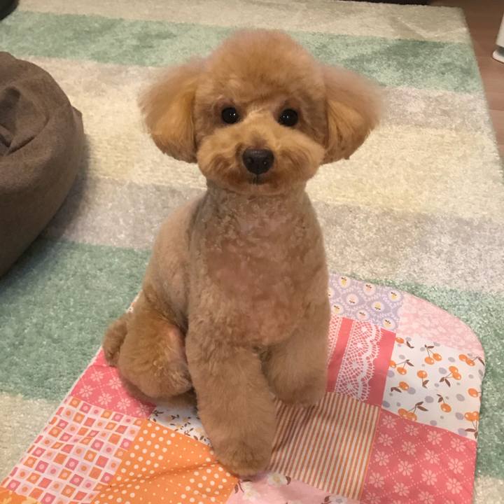 9836ed5c f7c2 423b 98b7 05bd4a83679a 1519553343643