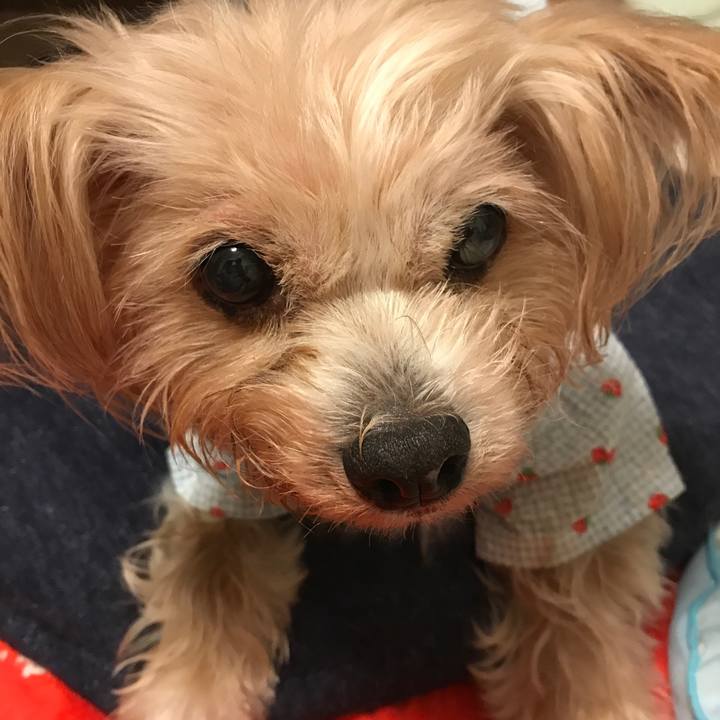 983700ae c0bf 4ca6 aee5 ef3a55b51fa4 1532972962754