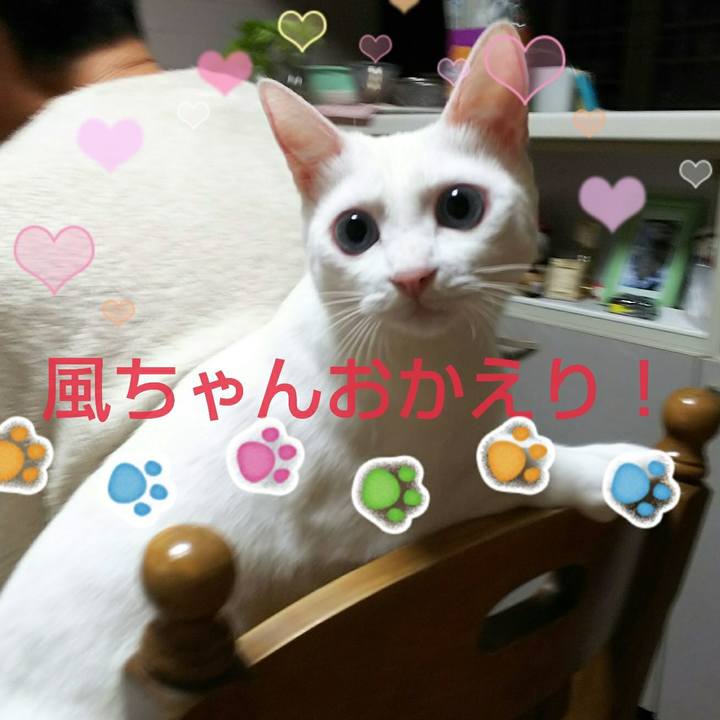 9837169f 9ff7 424f b6fb 9c1b6357b5ca 1539904753971