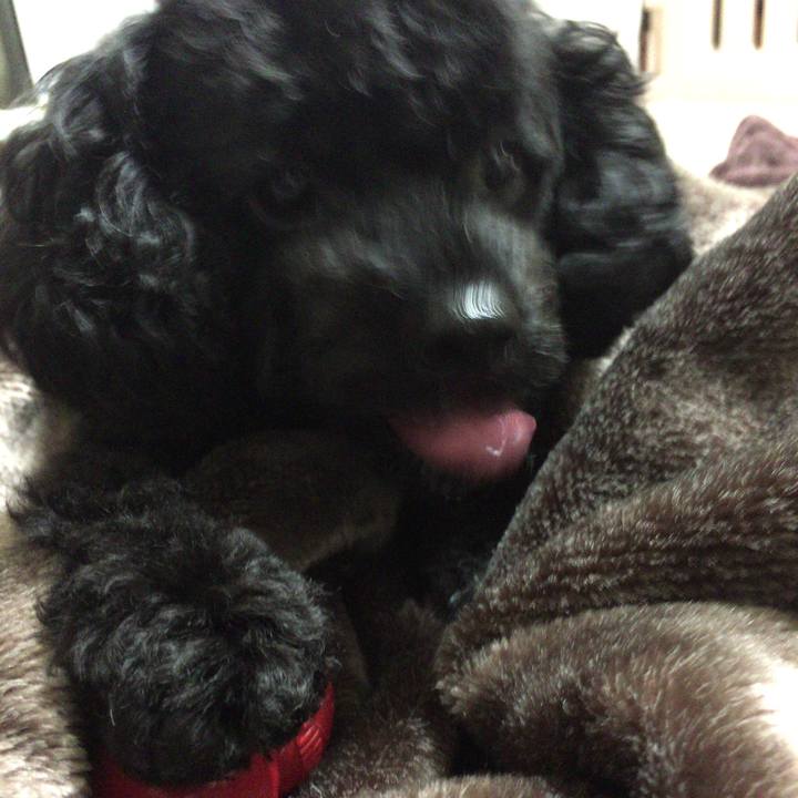 98372dbc 13bb 4dee 8a4d c300394821c9 1507879583961