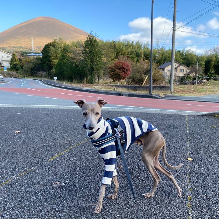 98376dfe fa0b 4d30 9b63 be978d7218a7 1764485942867