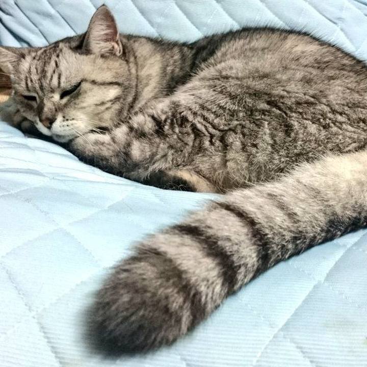 9837a9bf 6973 478d a25b 34e645842241 1508562902086