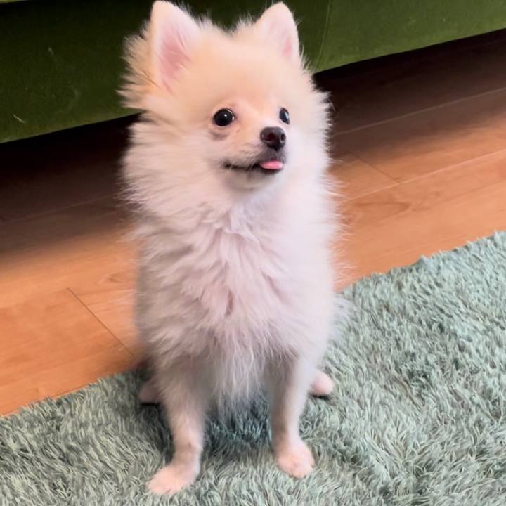 9837ba21 e739 42a3 b2a1 eea690b7b7ff 1694446215990