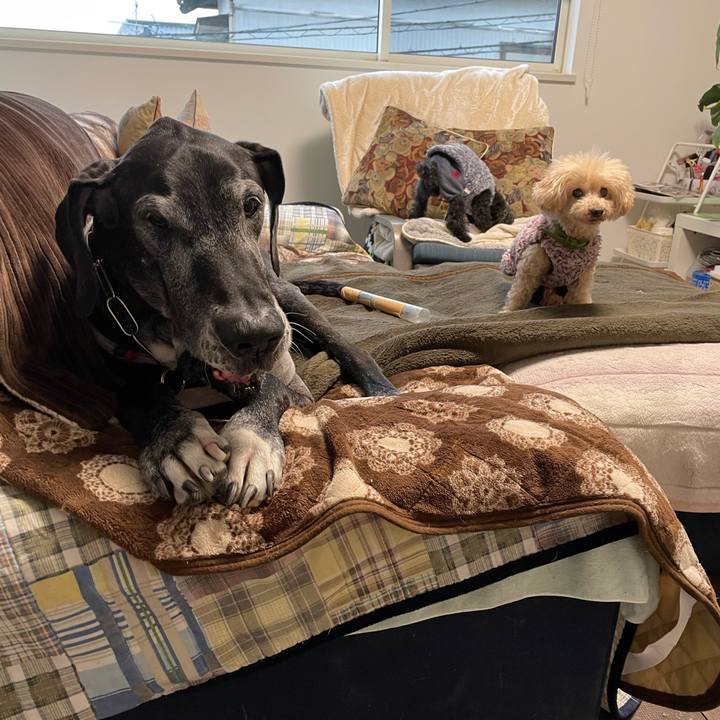 9837c4e7 071d 405c 9e23 3638bfabc036 1642976999684