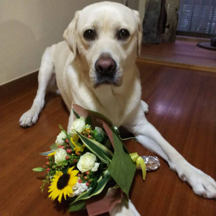 98382982 d87d 4006 8be4 90ca367a154b 1533039994984