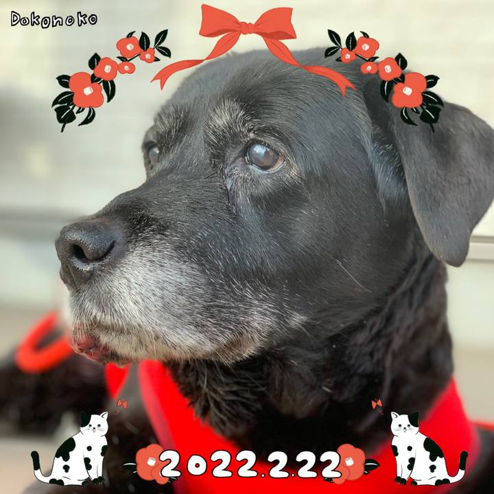 9838322b 912e 43ba a9b5 435d78a145ea 1645494563821