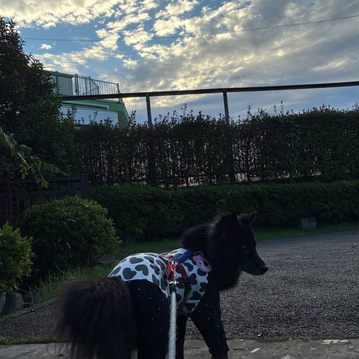 983882c4 f571 484e ae46 917f013c8db1 1762733497127