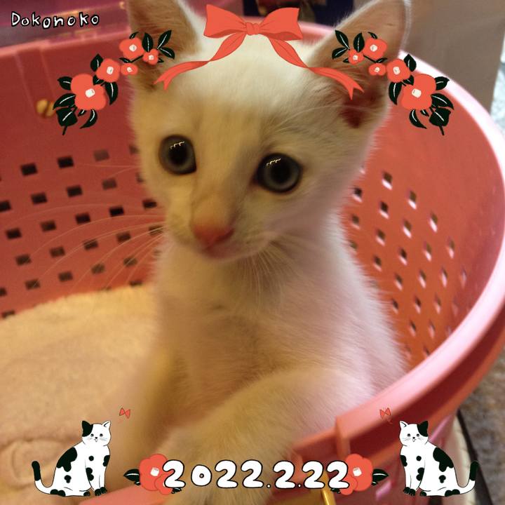 9838871c a7a7 4fd2 85a5 39db7ee5b695 1645532801858