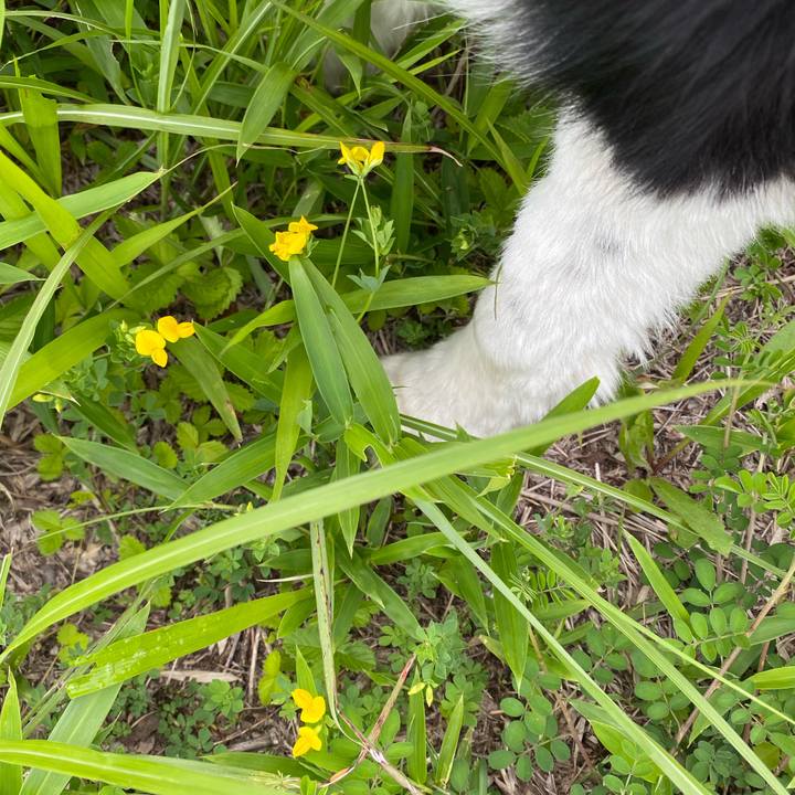 9838c4f0 62c9 4448 b73c cfcfe5aedc0c 1624282328922