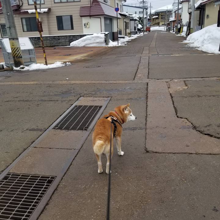 9838ddda 1156 4dcf bbae c7372e3451ca 1741058224475